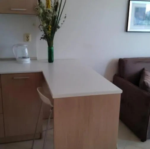 Four-bed In The Emberli. Apartment Lozenets