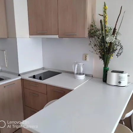 Apartment Four-bed In The Emberli. 3*