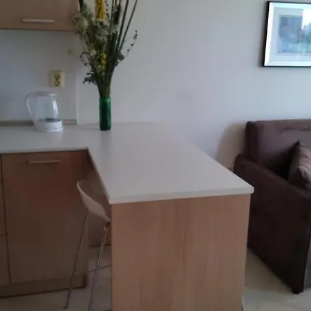 Four-bed In The Emberli. Lägenhet Lozenets