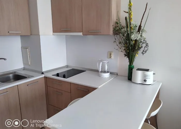 Appartement Four-bed In The Emberli. 3*